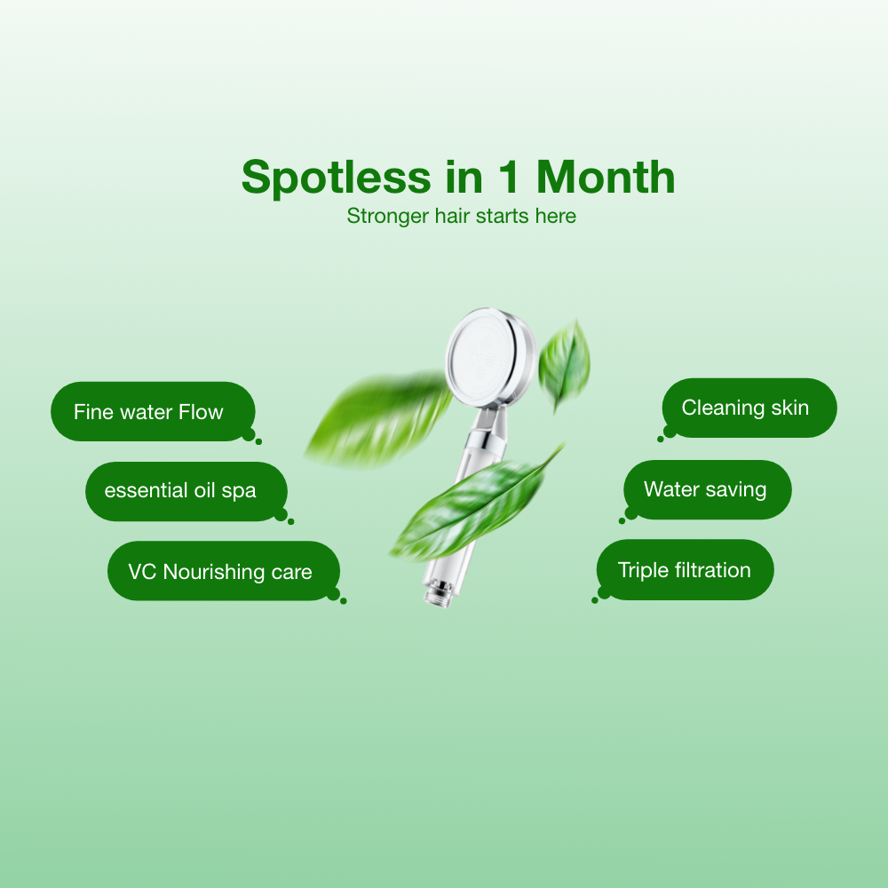 Skin Care Chlorine Removal Fragrance Hand-held Shower Booster Filter